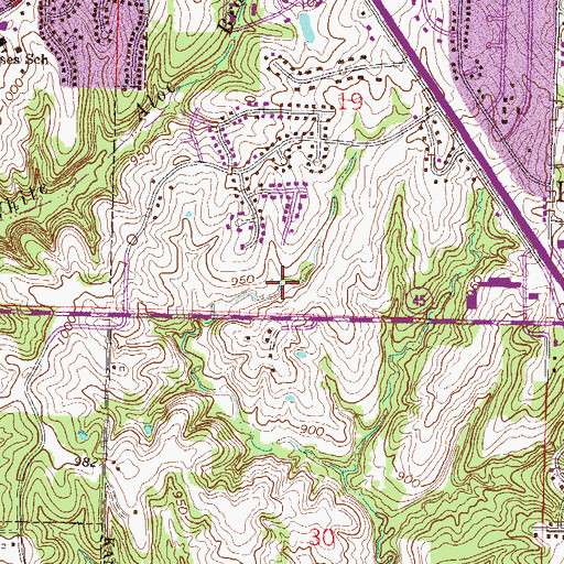 Topographic Map of Township of Fox, MO