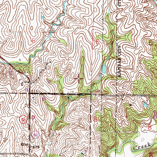 Topographic Map of Township of Kickapoo, MO