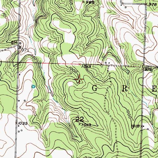 Topographic Map of Township of North Green, MO