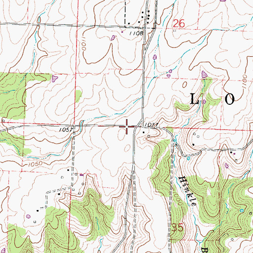 Topographic Map of Township of West Looney, MO