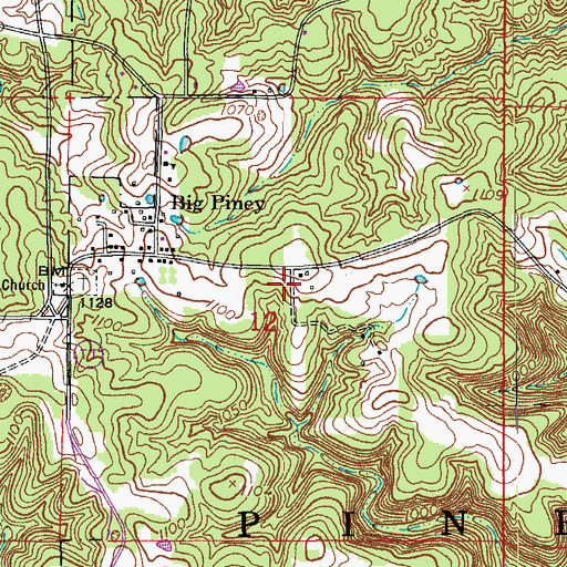 Topographic Map of Township of Piney, MO