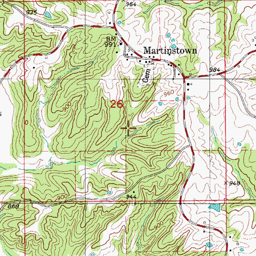 Topographic Map of Township of Elm, MO