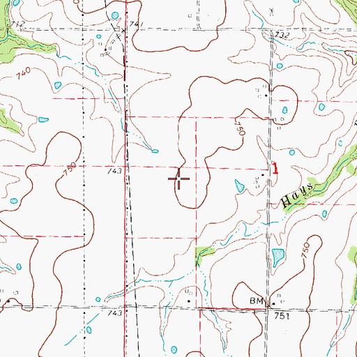 Topographic Map of Township of Jasper, MO