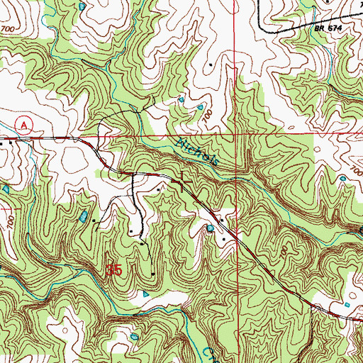Topographic Map of Township of Saline, MO