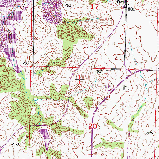Topographic Map of Township of Chariton, MO