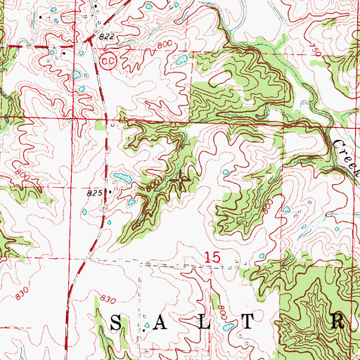 Topographic Map of Township of Salt River, MO