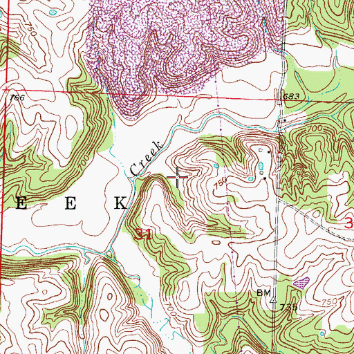 Topographic Map of Township of Silver Creek, MO