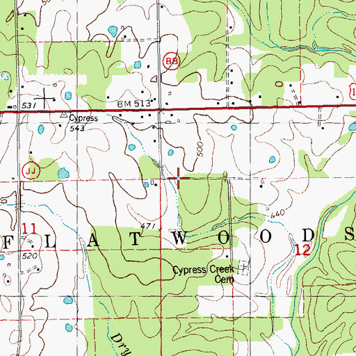 Topographic Map of Township of Flatwoods, MO