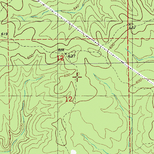 Topographic Map of Township of Johnson, MO