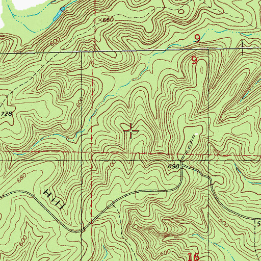 Topographic Map of Township of Kelley, MO