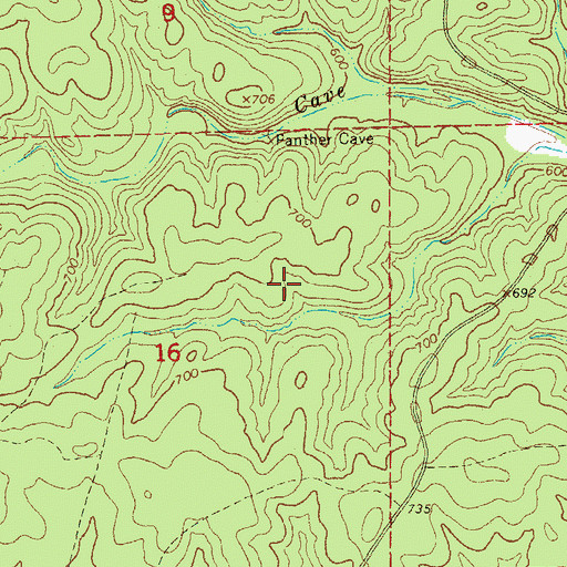 Topographic Map of Township of Pine, MO