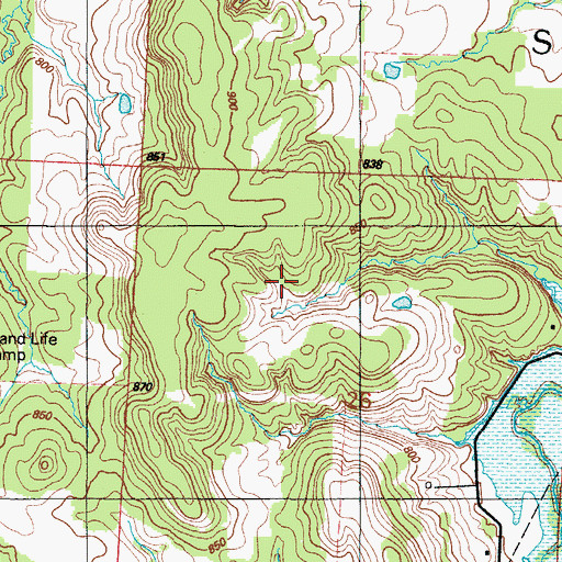 Topographic Map of Township of Speedwell, MO