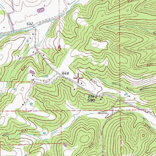 Topographic Map of Township of Jackson, MO