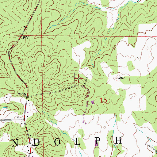 Topographic Map of Township of Randolph, MO