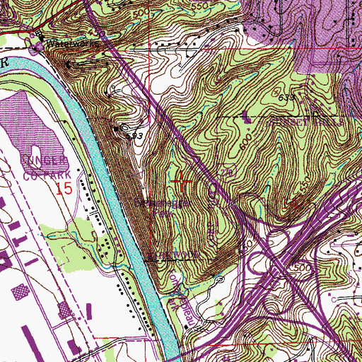 Topographic Map of Township of Bonhomme, MO