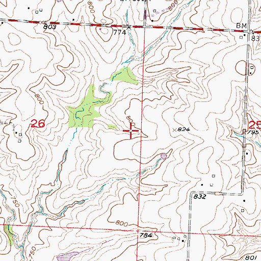 Topographic Map of Township of Elmwood, MO