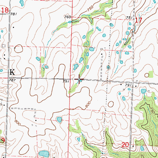 Topographic Map of Township of Salt Fork, MO