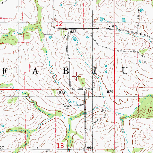 Topographic Map of Township of Fabius, MO
