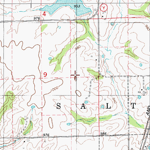 Topographic Map of Township of Salt River, MO