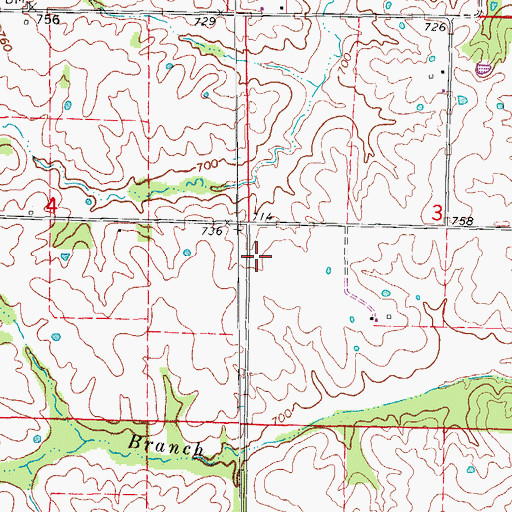 Topographic Map of Township of Johnson, MO