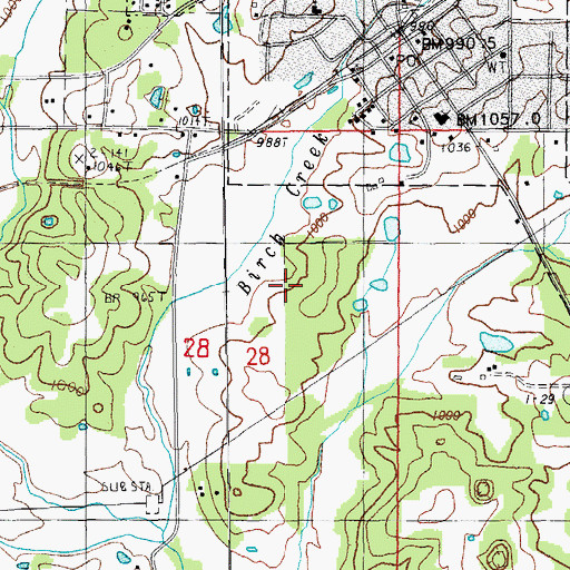Topographic Map of Township of Birch Tree, MO