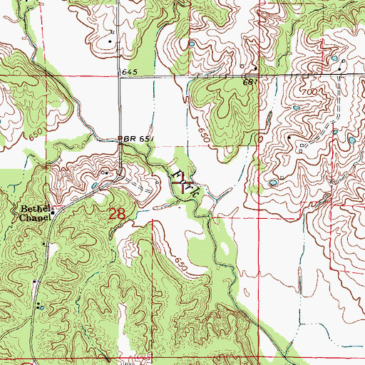 Topographic Map of Township of Tiger Fork, MO