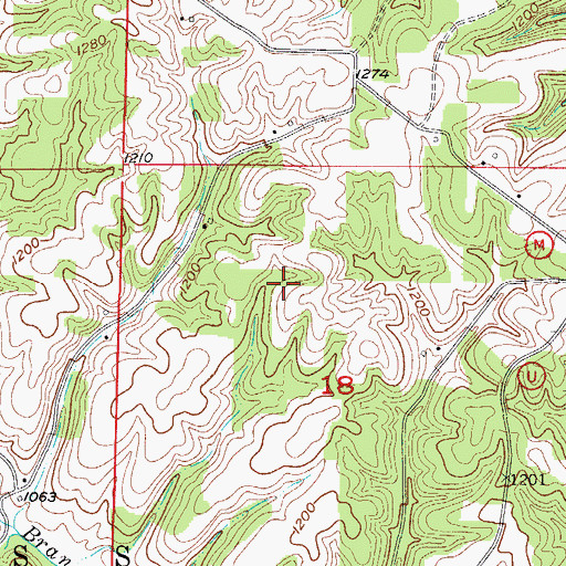 Topographic Map of Township of Cass, MO