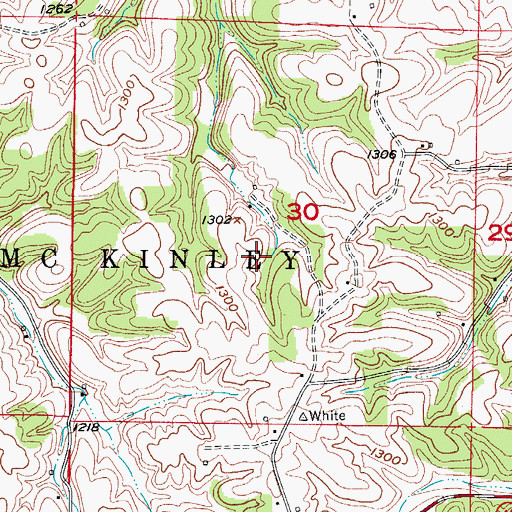 Topographic Map of Township of McKinley, MO