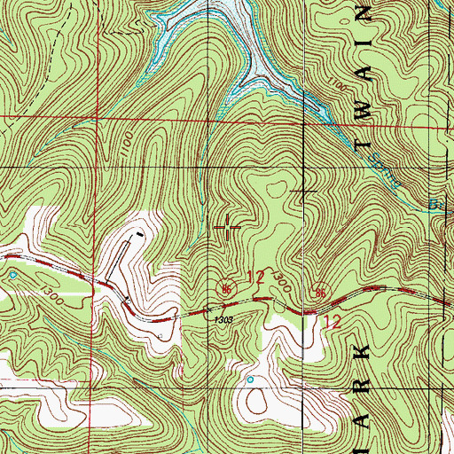 Topographic Map of Township of Pine A, MO