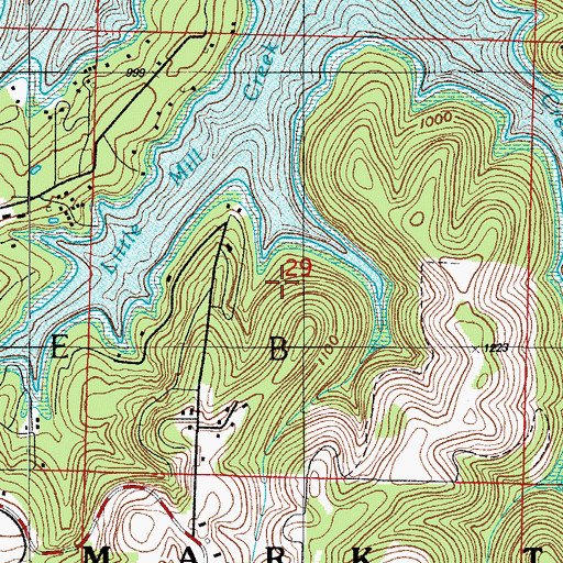 Topographic Map of Township of Pine B, MO