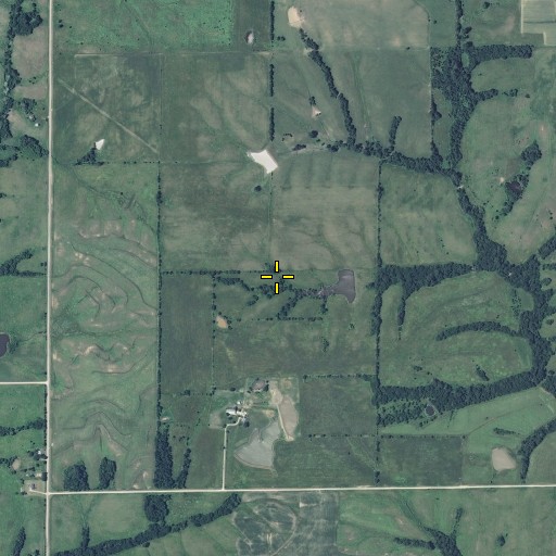 Aerial/Satellite Image of Township of Bowman, MO