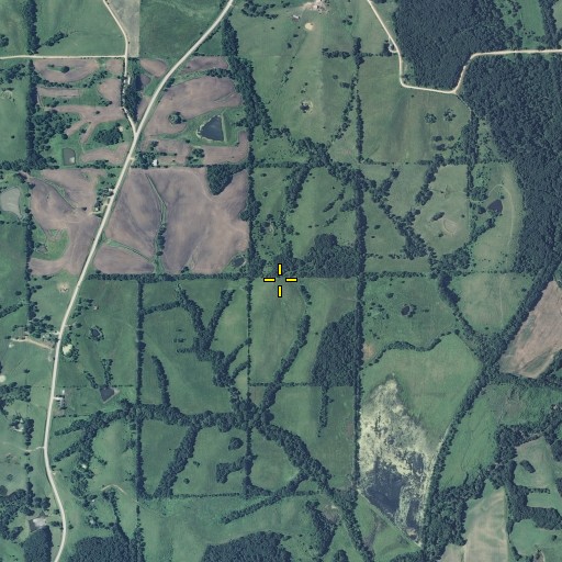 Aerial/Satellite Image of Township of Jackson, MO