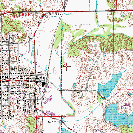 Topographic Map of Township of Polk, MO
