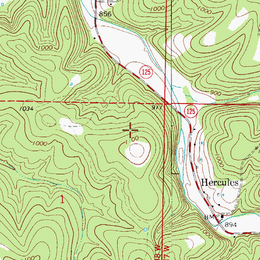 Topographic Map of Township of Beaver, MO