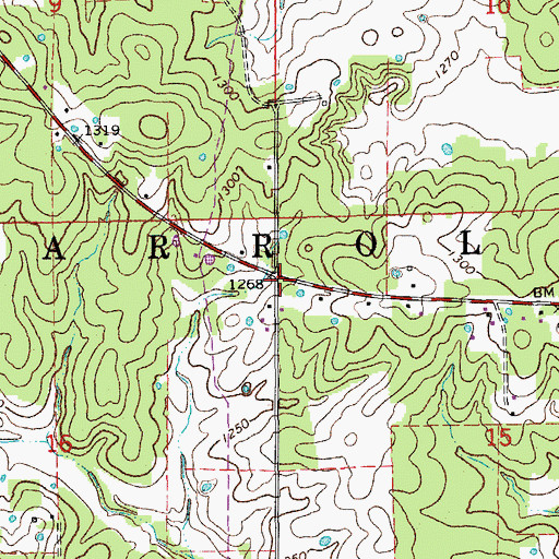 Topographic Map of Township of Carroll, MO