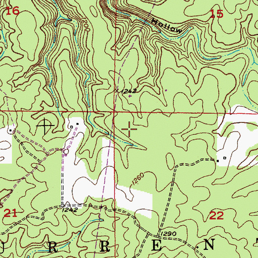 Topographic Map of Township of Current, MO