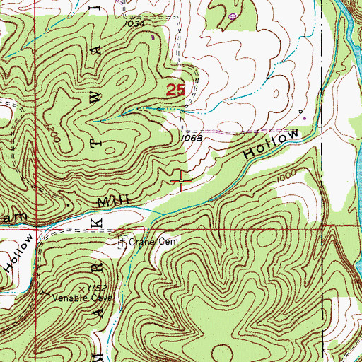 Topographic Map of Township of Lynch, MO