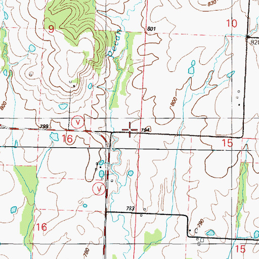 Topographic Map of Township of Henry, MO