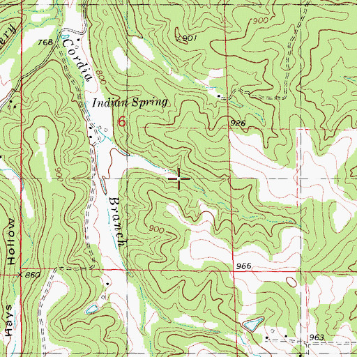 Topographic Map of Township of Richwoods, MO