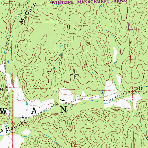 Topographic Map of Township of Cowan, MO