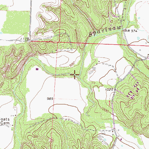 Topographic Map of Decatur Branch, AR