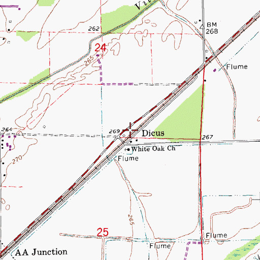 Topographic Map of Dicus, AR