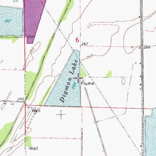 Topographic Map of Digman Lake, AR