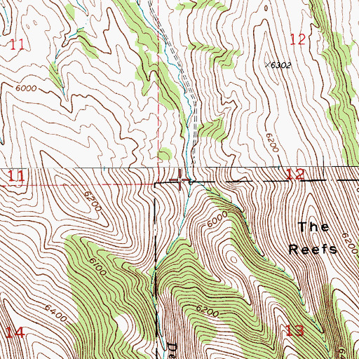 Topographic Map of Pig Creek, MT
