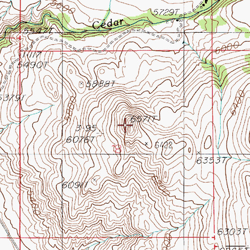Topographic Map of Dick Randall Point, MT