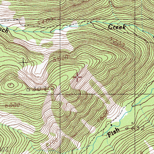 Topographic Map of Buckos Pocket, MT