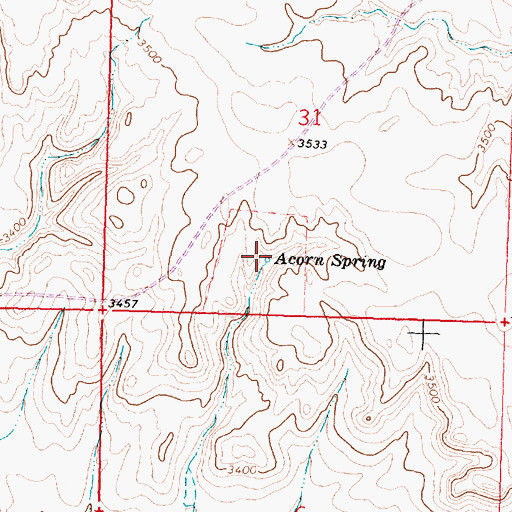 Topographic Map of Acorn Spring, MT