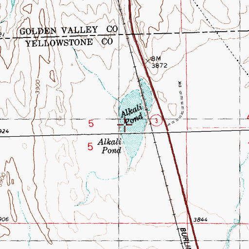 Topographic Map of Alkali Pond, MT