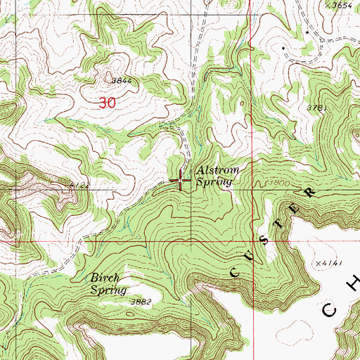 Topographic Map of Alstrom Spring, MT