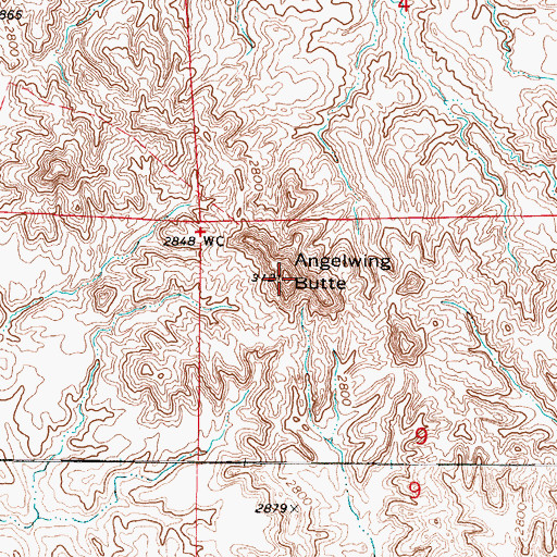 Topographic Map of Angelwing Butte, MT